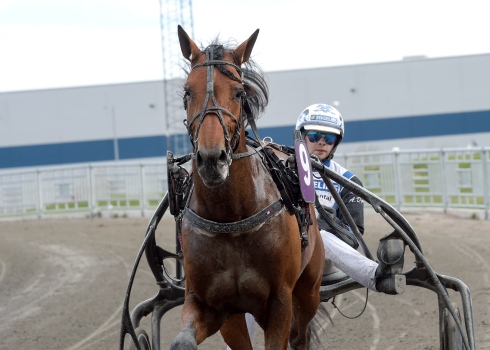 Magnus A Djuse segerdefilerar bakom Halo Am. Foto av Lars Jakobsson TR Bild